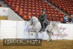 15BUCK_01371 proof