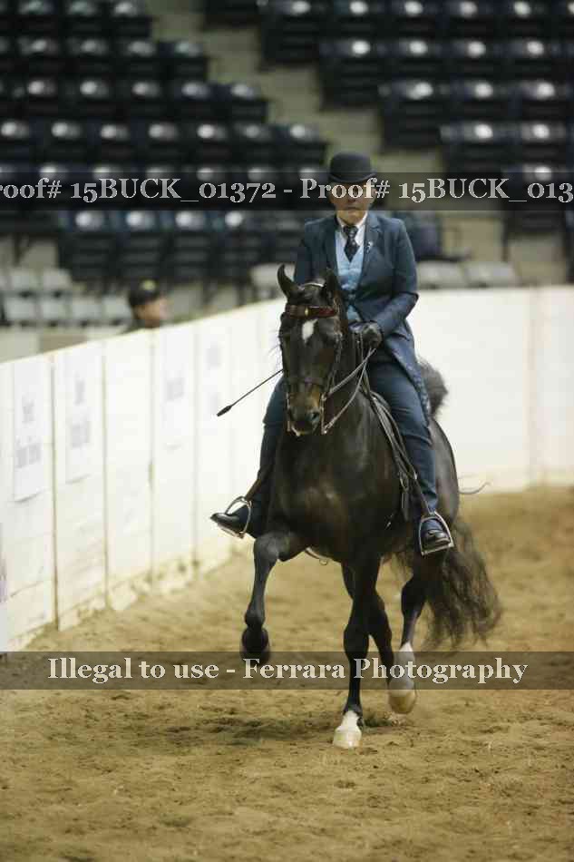 Proof 15BUCK_01372