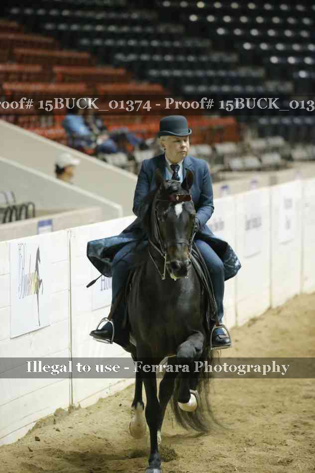 Proof 15BUCK_01374