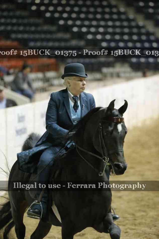 Proof 15BUCK_01375