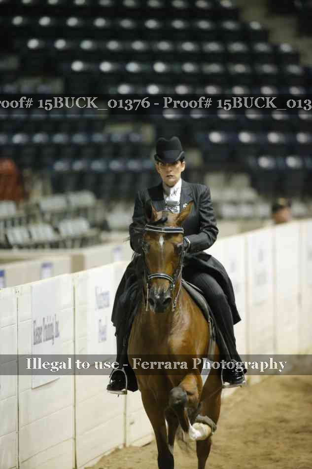 Proof 15BUCK_01376