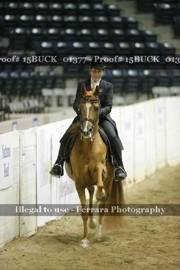 Proof 15BUCK_01377