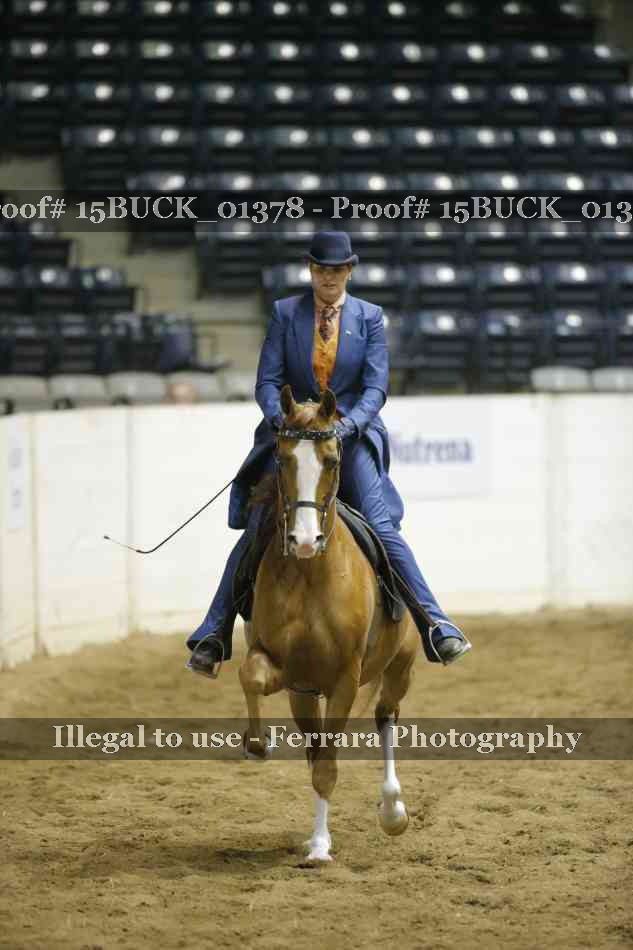 Proof 15BUCK_01378