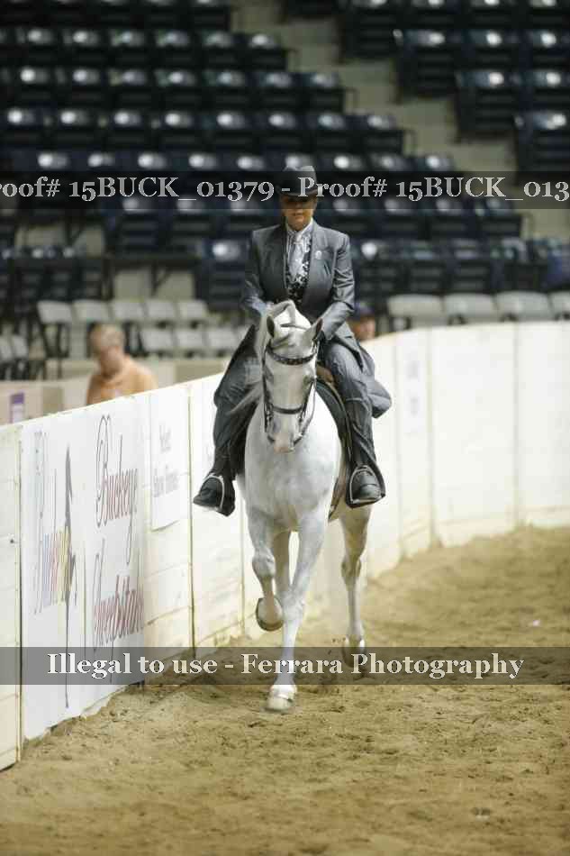 Proof 15BUCK_01379