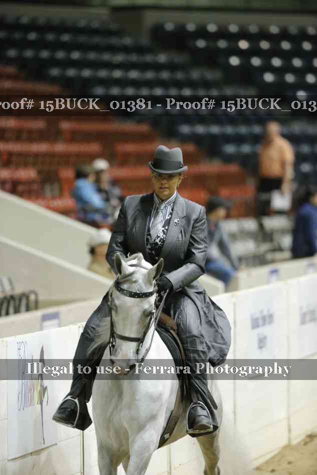Proof 15BUCK_01381