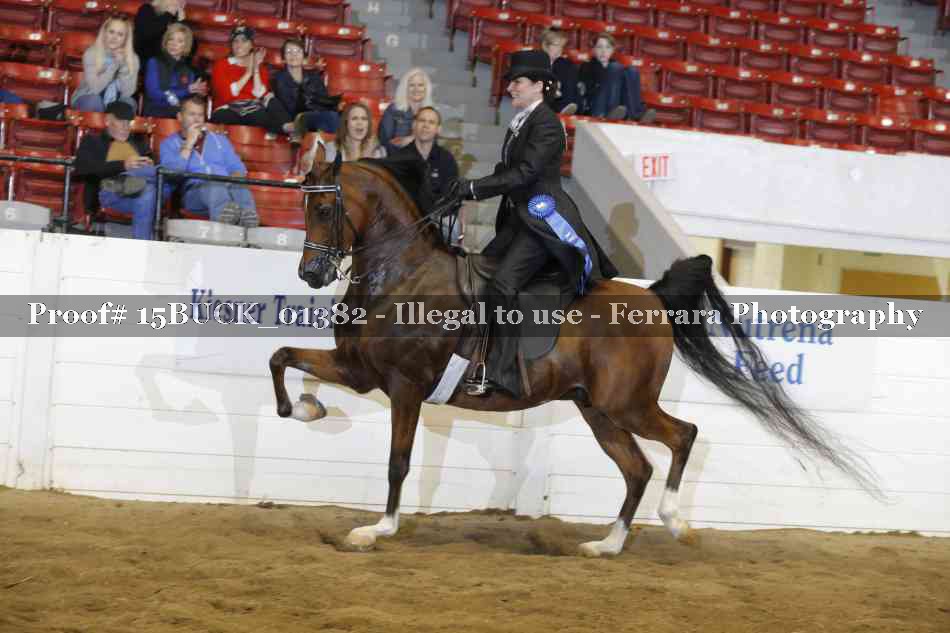 Proof 15BUCK_01382