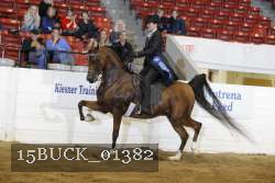 15BUCK_01382 proof