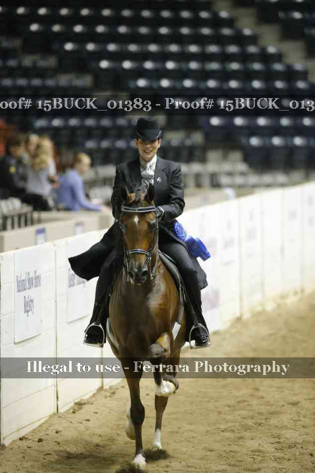 Proof 15BUCK_01383