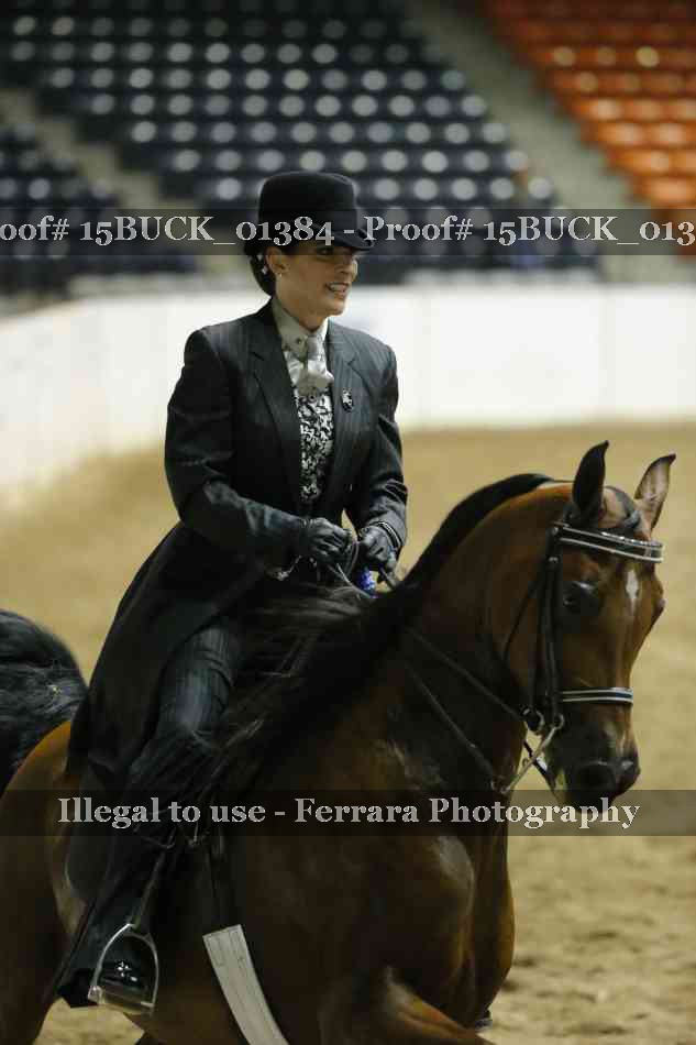Proof 15BUCK_01384