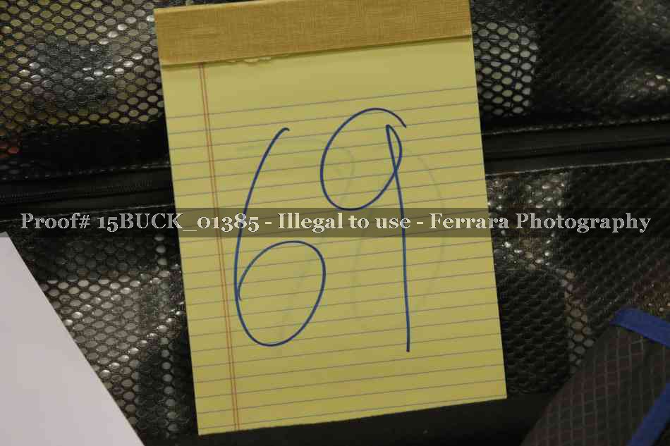 Proof 15BUCK_01385