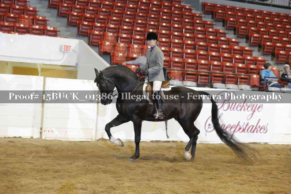 Proof 15BUCK_01386