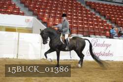 15BUCK_01386 proof