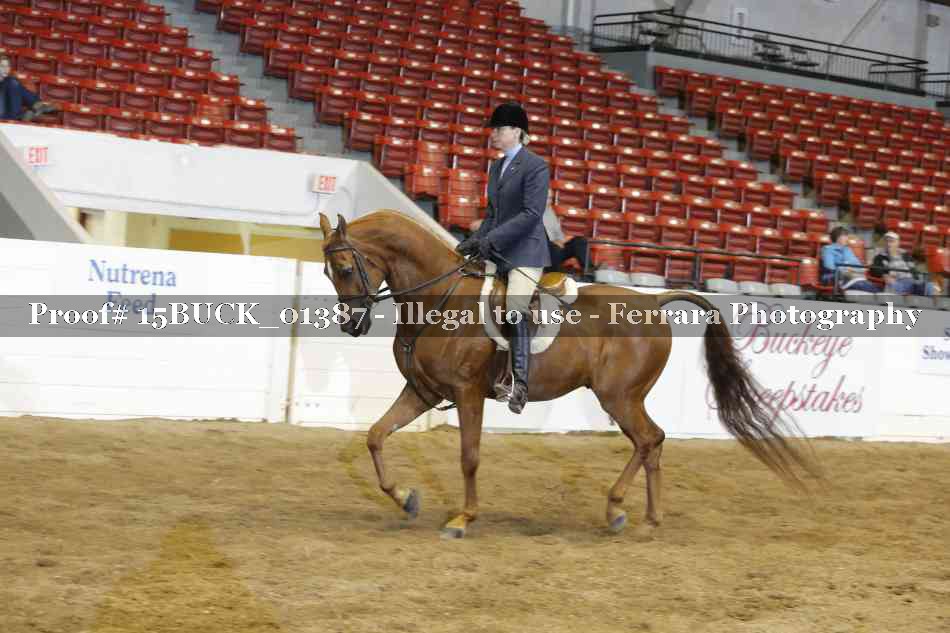 Proof 15BUCK_01387