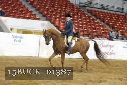 15BUCK_01387 proof