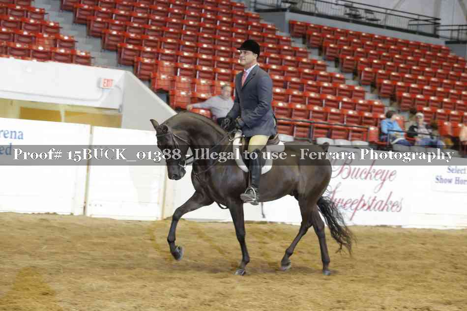 Proof 15BUCK_01388
