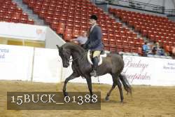 15BUCK_01388 proof