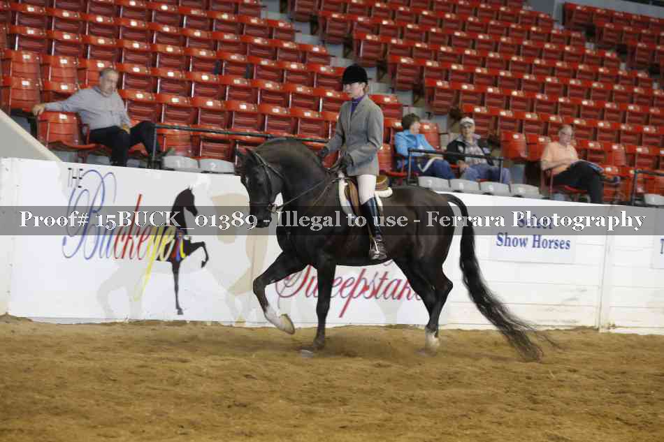 Proof 15BUCK_01389
