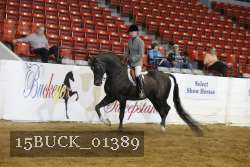 15BUCK_01389 proof