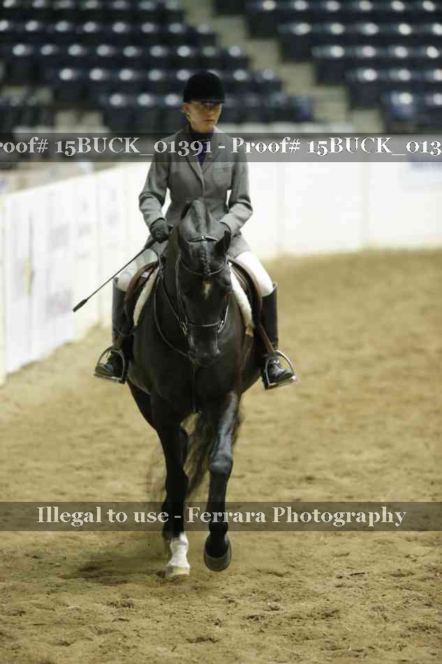 Proof 15BUCK_01391