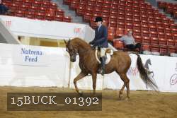 15BUCK_01392 proof