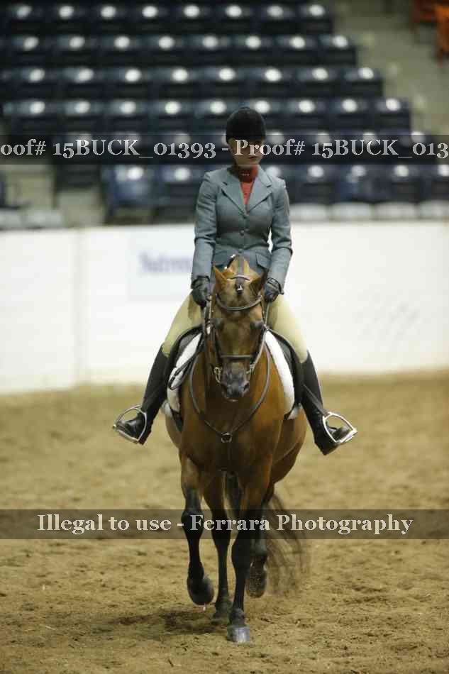 Proof 15BUCK_01393