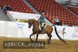 15BUCK_01394 proof