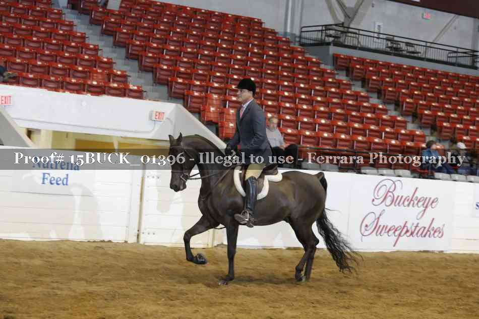 Proof 15BUCK_01396
