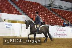 15BUCK_01396 proof