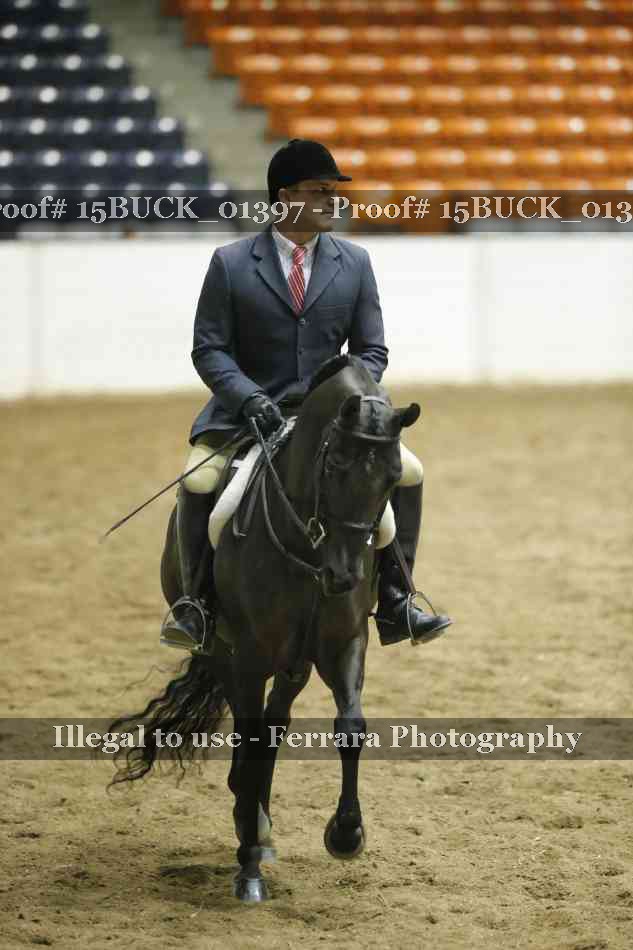 Proof 15BUCK_01397