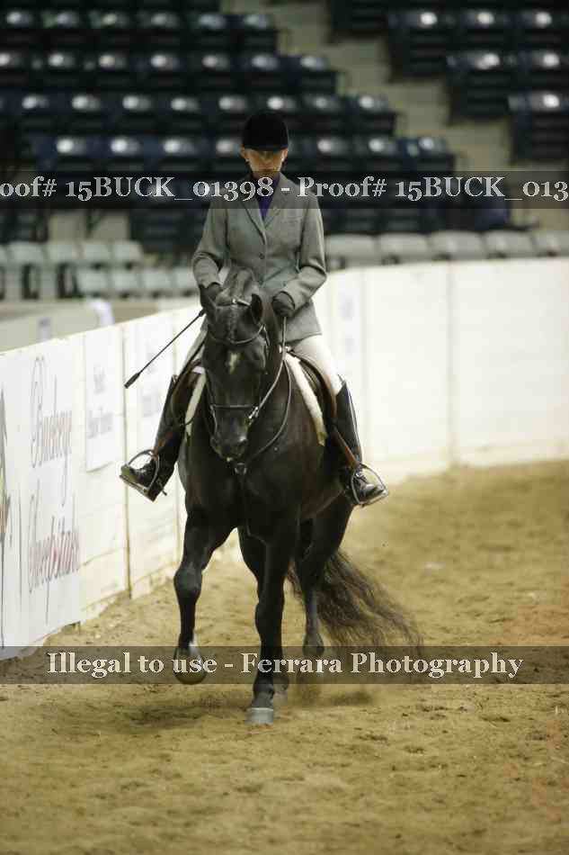 Proof 15BUCK_01398