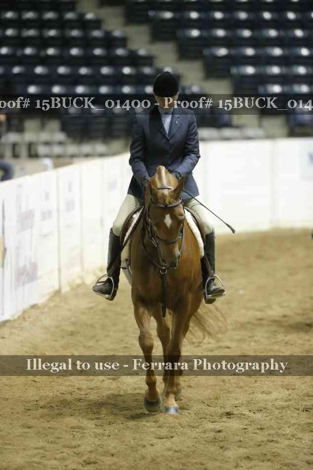 Proof 15BUCK_01400
