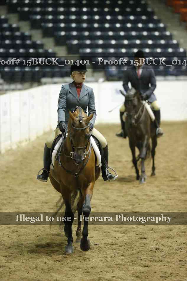 Proof 15BUCK_01401