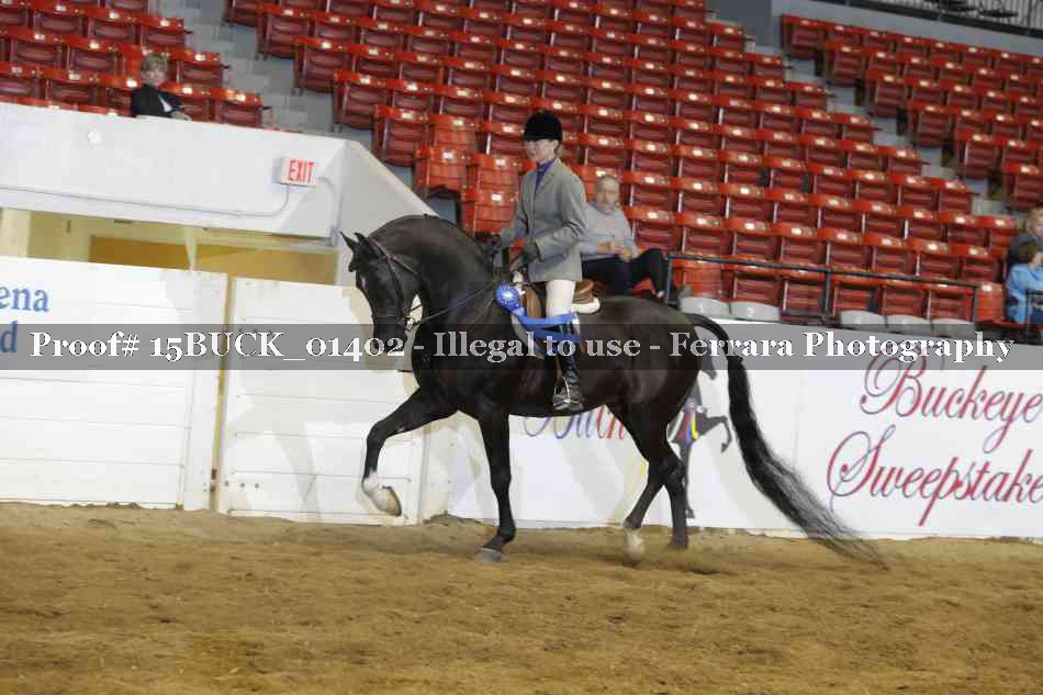 Proof 15BUCK_01402