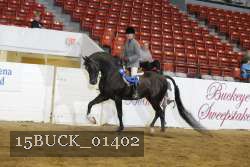 15BUCK_01402 proof