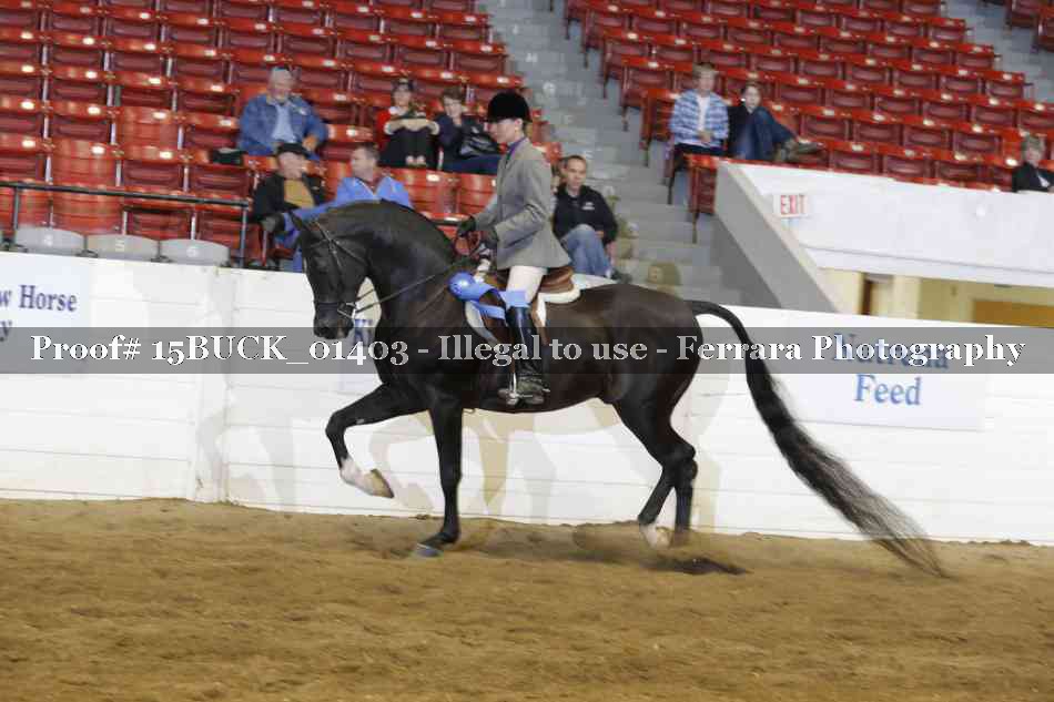 Proof 15BUCK_01403