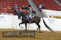 15BUCK_01403 proof