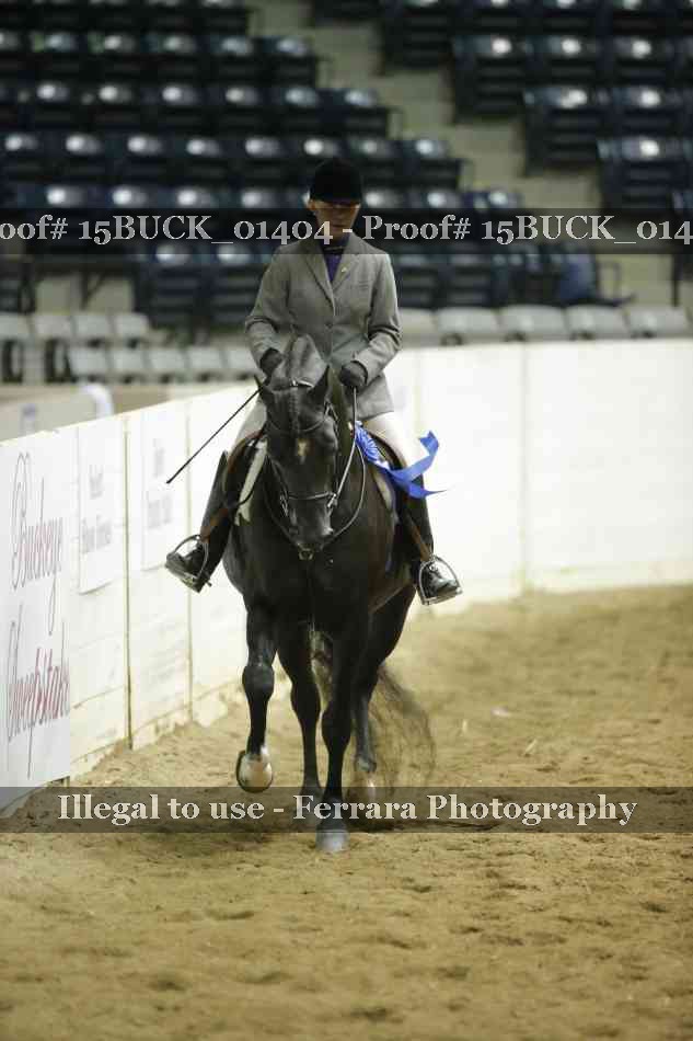 Proof 15BUCK_01404