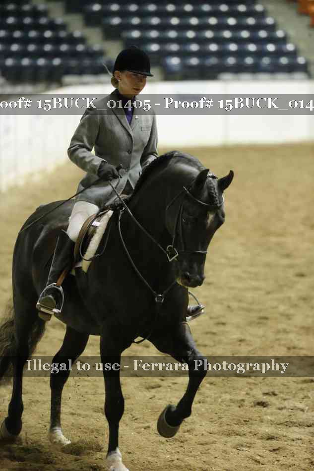Proof 15BUCK_01405