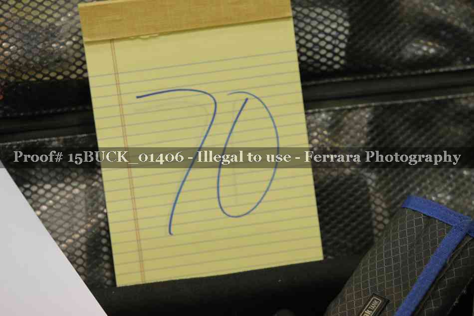 Proof 15BUCK_01406