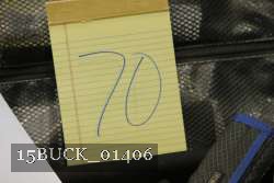 15BUCK_01406 proof