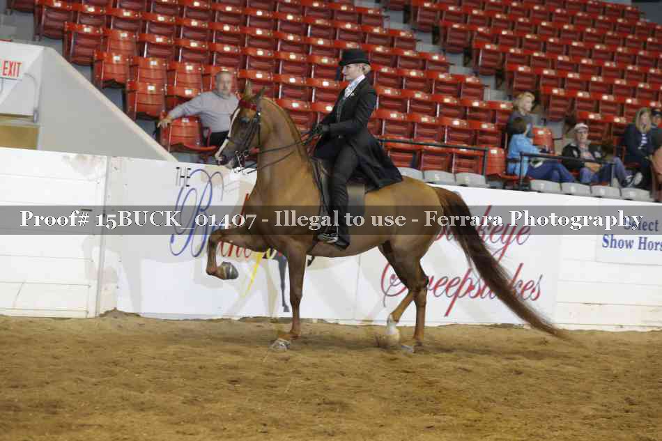Proof 15BUCK_01407