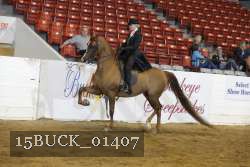 15BUCK_01407 proof