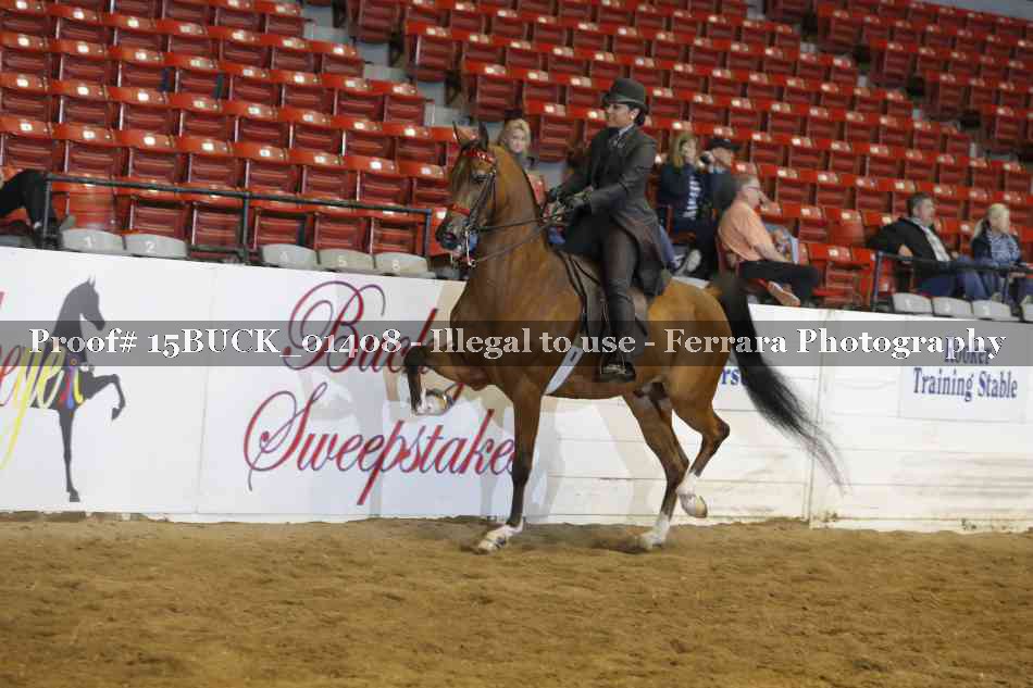 Proof 15BUCK_01408