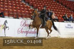 15BUCK_01408 proof
