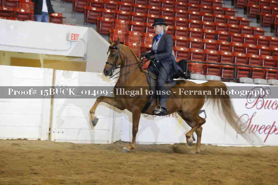 Proof 15BUCK_01409