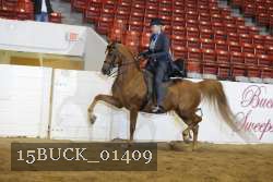 15BUCK_01409 proof