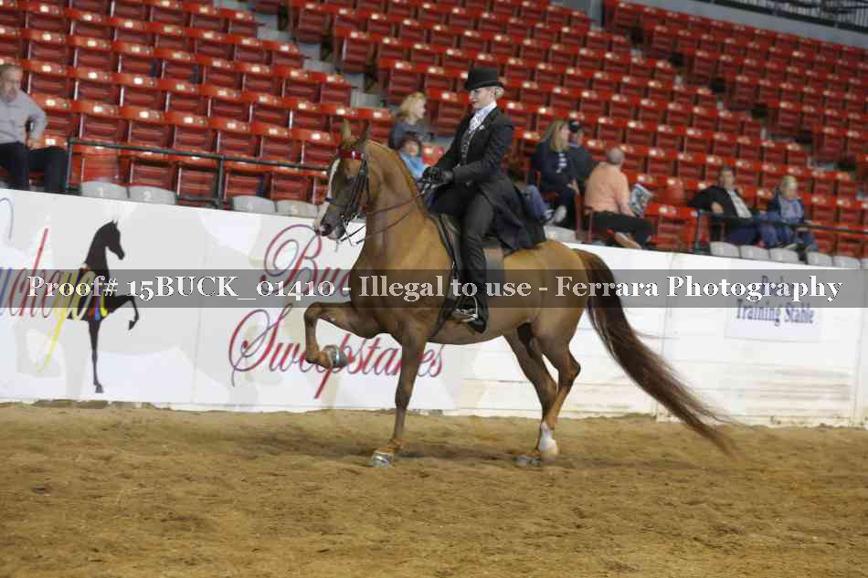 Proof 15BUCK_01410