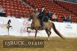 15BUCK_01410 proof