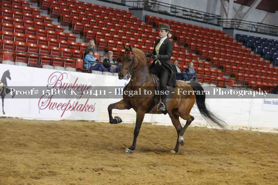 Proof 15BUCK_01411