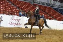 15BUCK_01411 proof